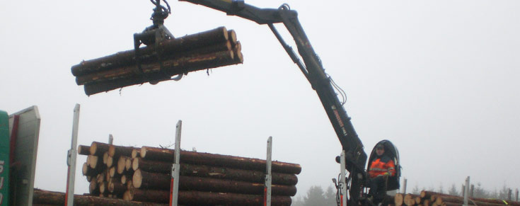 Stiedl Holztransporte